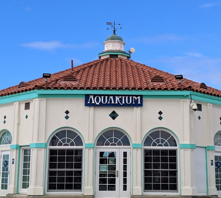 Roundhouse Aquarium (Manhattan&nbspBeach,&nbspCA)